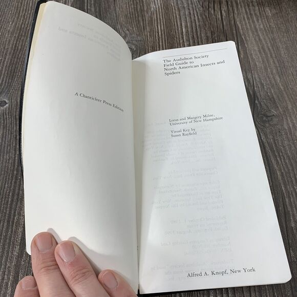 National Audubon Society Field Guide to Insects and Spiders : North America - Picture 8 of 12